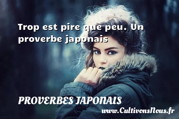Trop est pire que - Proverbes japonais