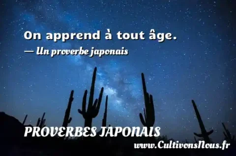 On apprend à tout âge. - Un proverbe japonais PROVERBES JAPONAIS