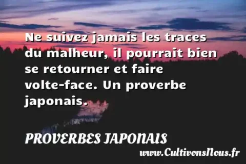 Ne suivez jamais les traces du malheur, il pourrait bien se retourner et faire volte-face. Un proverbe japonais. PROVERBES JAPONAIS