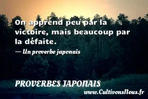 On apprend peu par la victoire, mais beaucoup par la défaite. - Un proverbe japonais PROVERBES JAPONAIS