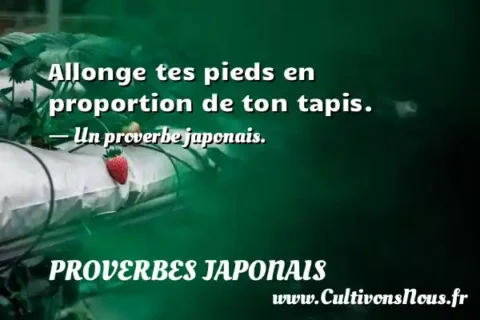 Allonge tes pieds en proportion de ton tapis. - Un proverbe japonais. PROVERBES JAPONAIS