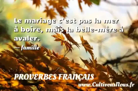 Le mariage c est pas la mer à boire, mais la belle-mère à avaler. - famille PROVERBES FRANÇAIS