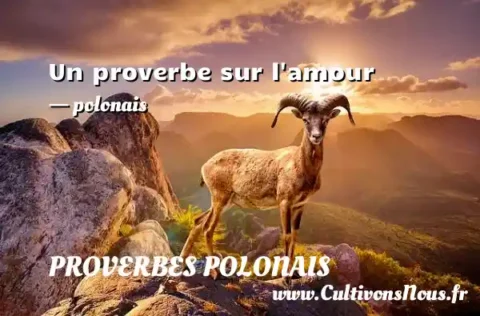 Un proverbe sur l amour - polonais PROVERBES POLONAIS