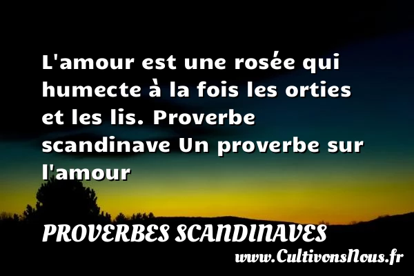L’amour est une rosée - Proverbes scandinaves - Proverbe amour
