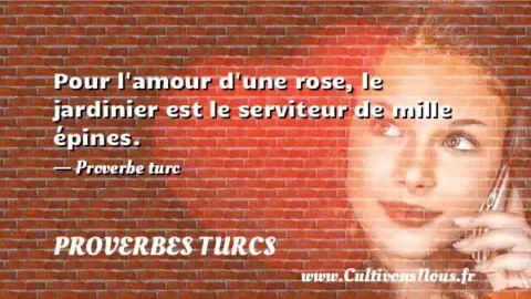 Pour l amour d une rose, le jardinier est le serviteur de mille épines. - Proverbe turc PROVERBES TURCS