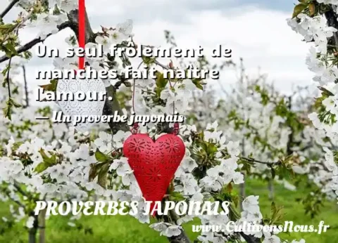 Un seul frôlement de manches fait naître l amour. - Un proverbe japonais PROVERBES JAPONAIS