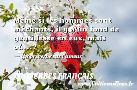 Même si les hommes sont méchants, il y a un fond de gentillesse en eux, mais où...? - Un proverbe sur l amour PROVERBES FRANÇAIS