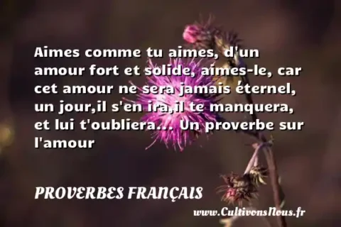 Aimes comme tu aimes, d un amour fort et solide, aimes-le, car cet amour ne sera jamais éternel, un jour,il s en ira,il te manquera, et lui t oubliera... Un proverbe sur l amour PROVERBES FRANÇAIS
