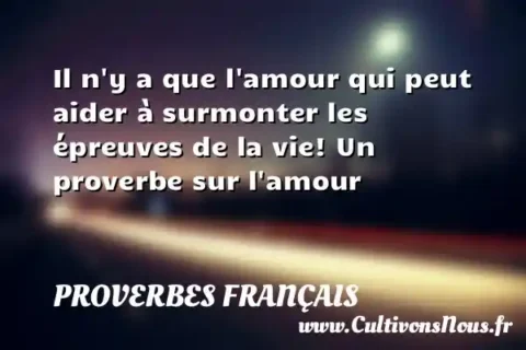 Il n y a que l amour qui peut aider à surmonter les épreuves de la vie! Un proverbe sur l amour PROVERBES FRANÇAIS