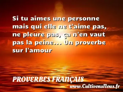 Si tu aimes une personne mais qui elle ne t aime pas, ne pleure pas, ça n en vaut pas la peine... Un proverbe sur l amour PROVERBES FRANÇAIS