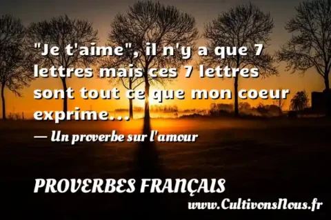 Je t aime , il n y a que 7 lettres mais ces 7 lettres sont tout ce que mon coeur exprime... - Un proverbe sur l amour PROVERBES FRANÇAIS