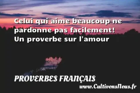 Celui qui aime beaucoup ne pardonne pas facilement! Un proverbe sur l amour PROVERBES FRANÇAIS