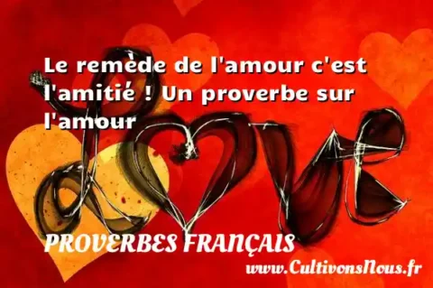 Le remède de l amour c est l amitié ! Un proverbe sur l amour PROVERBES FRANÇAIS