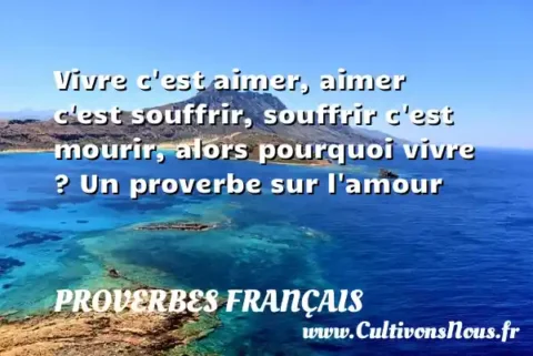 Vivre c est aimer, aimer c est souffrir, souffrir c est mourir, alors pourquoi vivre ? Un proverbe sur l amour PROVERBES FRANÇAIS