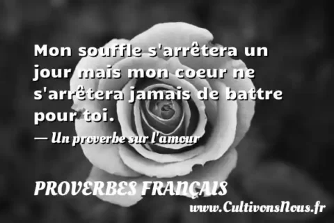 Mon souffle s arrêtera un jour mais mon coeur ne s arrêtera jamais de battre pour toi. - Un proverbe sur l amour PROVERBES FRANÇAIS