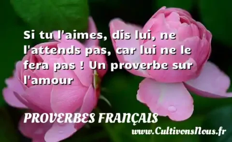 Si tu l aimes, dis lui, ne l attends pas, car lui ne le fera pas ! Un proverbe sur l amour PROVERBES FRANÇAIS