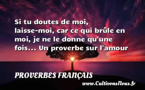 Si tu doutes de moi, laisse-moi, car ce qui brûle en moi, je ne le donne qu une fois... Un proverbe sur l amour PROVERBES FRANÇAIS