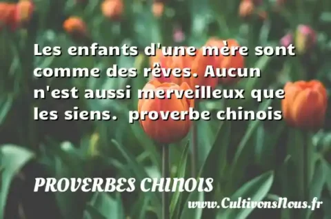 Les enfants d une mère sont comme des rêves. Aucun n est aussi merveilleux que les siens.  proverbe chinois PROVERBES CHINOIS