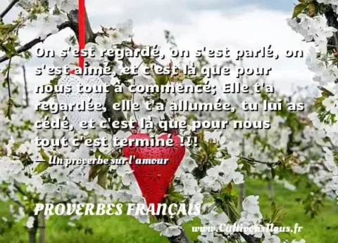 On s est regardé, on s est parlé, on s est aimé, et c est là que pour nous tout à commencé; Elle t a regardée, elle t a allumée, tu lui as cédé, et c est là que pour nous tout c est terminé !!! - Un proverbe sur l amour PROVERBES FRANÇAIS