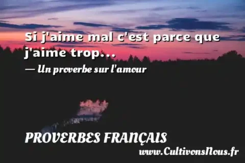 Si j aime mal c est parce que j aime trop... - Un proverbe sur l amour PROVERBES FRANÇAIS