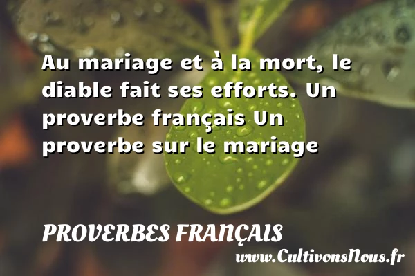 Au mariage et à la mort - Proverbes français - Proverbes mariage