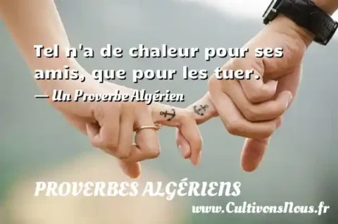 Tel n a de chaleur pour ses amis, que pour les tuer. - Un Proverbe Algérien PROVERBES ALGÉRIENS