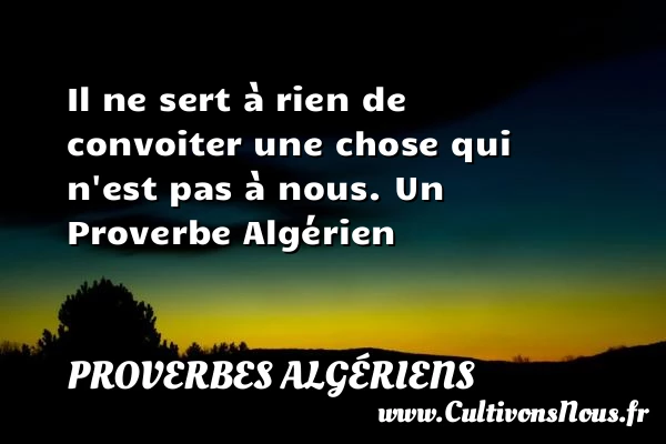 Il ne sert à rien de convoiter une - Proverbes Algériens - Proverbes philosophiques