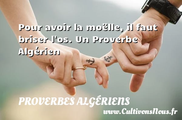 Pour avoir la moëlle, il faut briser - Proverbes Algériens - Proverbes philosophiques