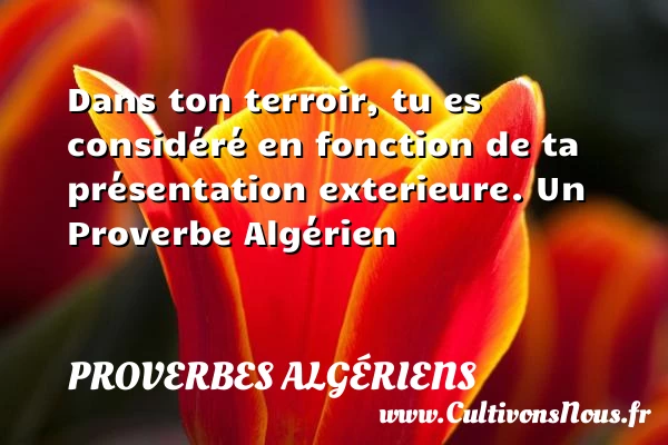 Dans ton terroir, tu es considéré en fonction de ta - Proverbes Algériens - Proverbes fun