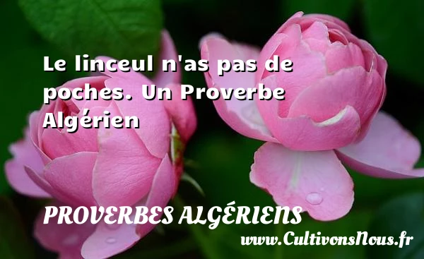 Le linceul n’as pas de poches. - Proverbes Algériens - Proverbes fun