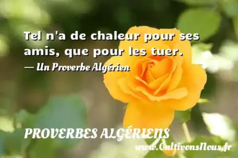 Tel n a de chaleur pour ses amis, que pour les tuer. - Un Proverbe Algérien PROVERBES ALGÉRIENS