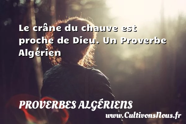 Le crâne du chauve est proche de Dieu. - Proverbes Algériens - Proverbes philosophiques