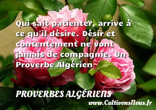 Qui sait patienter, arrive à ce qu’il désire. - Proverbes Algériens - Proverbe désir