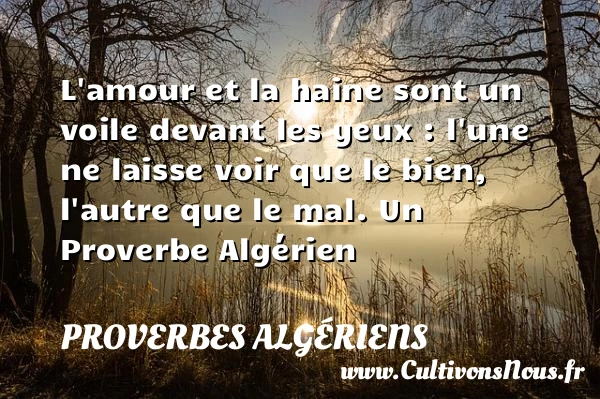 L’amour et la haine sont un voile devant les yeux - Proverbes Algériens - Proverbes haine