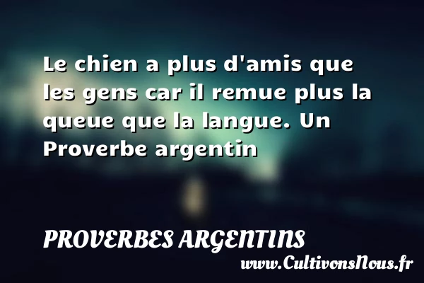 Le chien a plus d’amis que les gens car il remue plus - Proverbes argentins