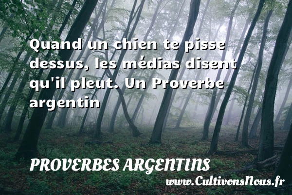 Quand un chien te pisse dessus, les médias disent - Proverbes argentins