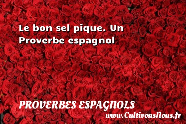 Le bon sel pique. - Proverbes espagnols - Proverbes fun