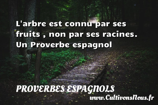 L’arbre est connu par ses fruits , non par - Proverbes espagnols - Proverbes fun - Proverbes philosophiques