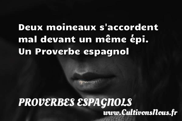 Deux moineaux s’accordent mal devant un même épi. - Proverbes espagnols - Proverbes philosophiques