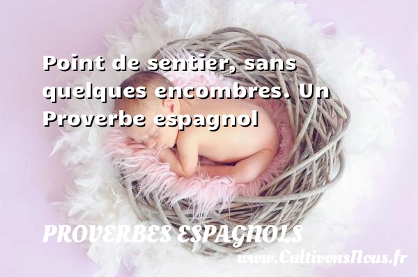 Point de sentier, sans quelques encombres. - Proverbes espagnols - Proverbes philosophiques