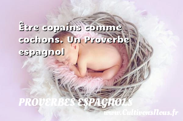 Être copains comme cochons. - Proverbes espagnols - Proverbes philosophiques