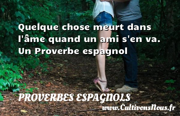 Quelque chose meurt dans l’âme quand un ami - Proverbes espagnols - Proverbes philosophiques