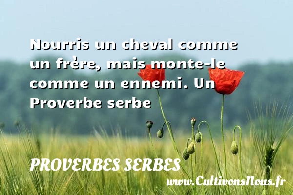 Nourris un cheval comme un frère, mais monte-le comme un - Proverbes serbes