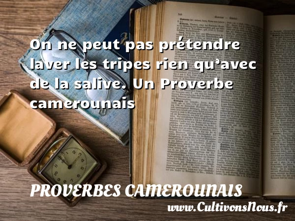 On ne peut pas prétendre laver les tripes - Proverbes camerounais - Proverbes philosophiques