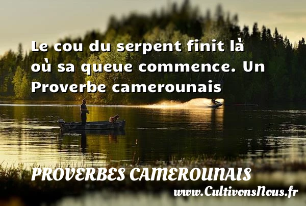 Le cou du serpent finit là où sa queue - Proverbes camerounais - Proverbes philosophiques