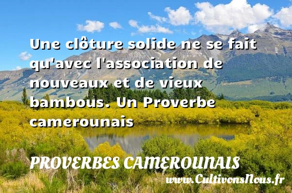Une clôture solide ne se fait qu’avec l’association - Proverbes camerounais - Proverbes philosophiques