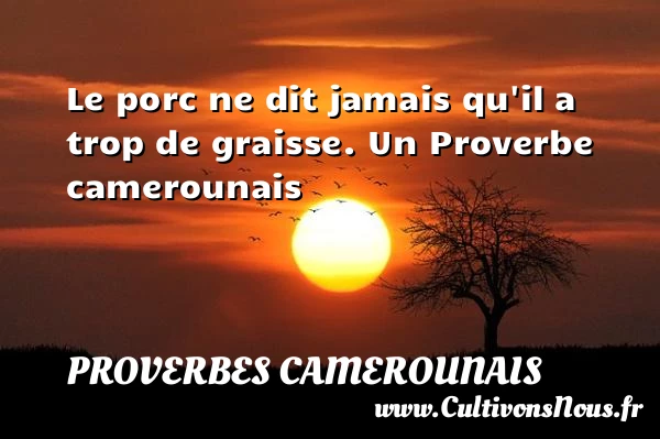 Le porc ne dit jamais qu’il a trop - Proverbes camerounais - Proverbes philosophiques