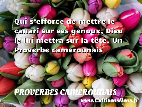 Qui s’efforce de mettre le canari sur ses genoux, Dieu - Proverbes camerounais - Proverbes philosophiques