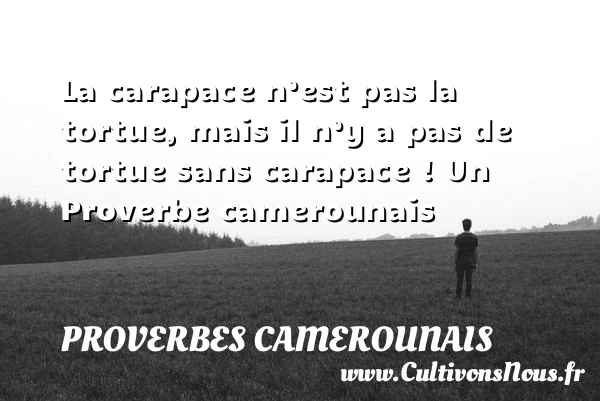 La carapace n’est pas la tortue, mais il n’y a pas - Proverbes camerounais - Proverbes philosophiques