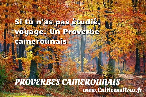 Si tu n’as pas étudié, voyage. - Proverbes camerounais - Devise - Proverbes philosophiques